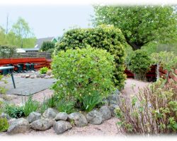 Cairngorm Highland Bungalows, Lynwood