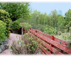 Cairngorm Highland Bungalows, Lynwood